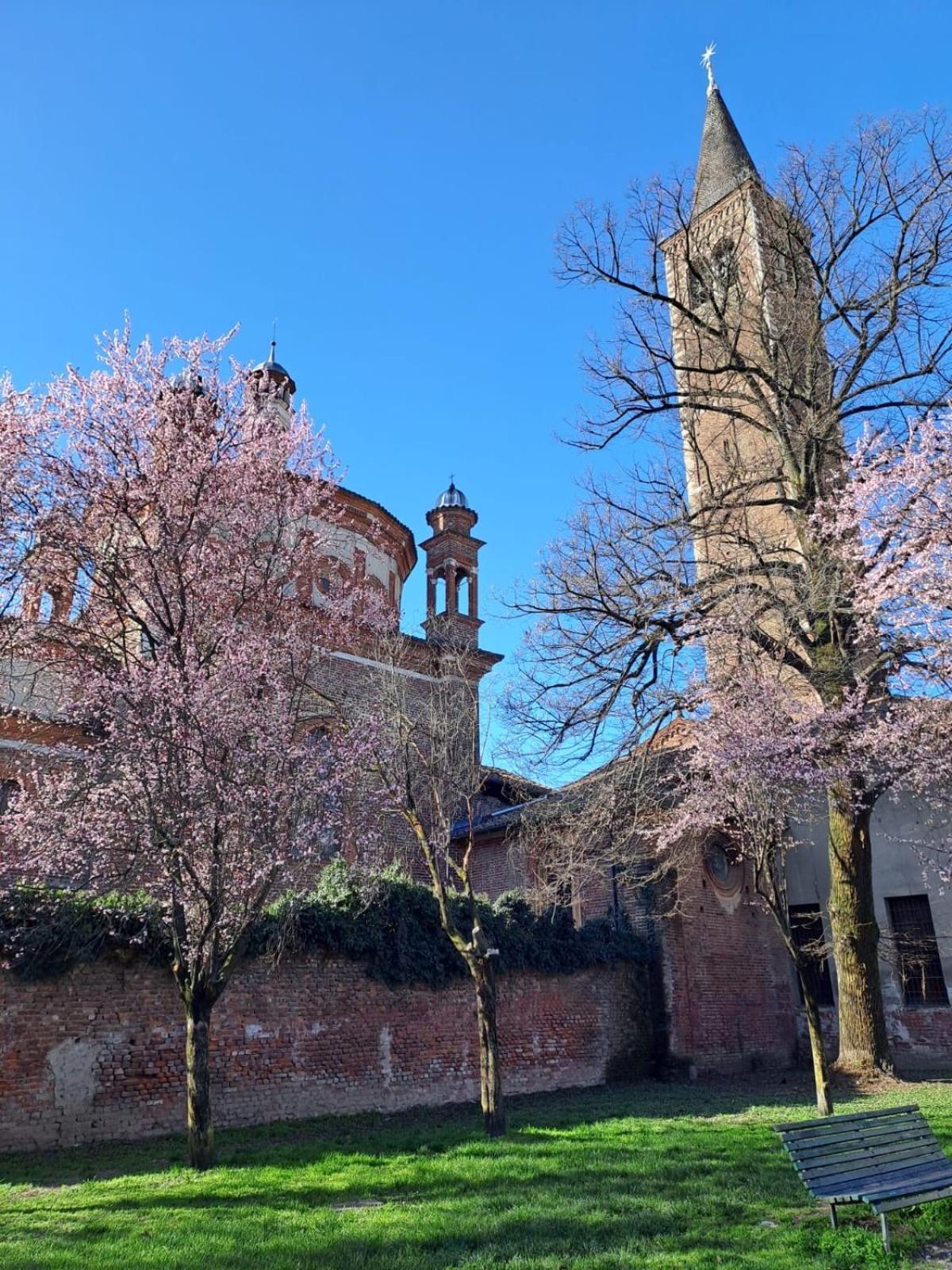 Appartamento Vetra-parco Delle Basiliche 2 Pax- Wifi- Banfi